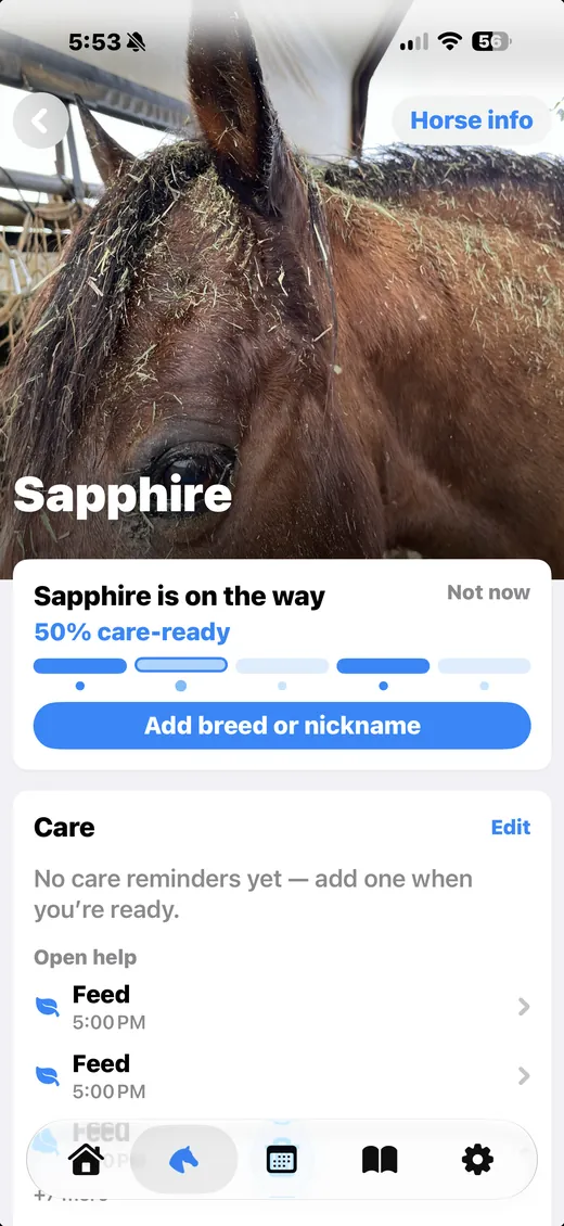 Giddy Up horse setup screen for Sapphire with a care-ready progress bar.